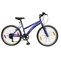 BACCIO Bicicleta ALPINA Lady rodado 26 2050 Violet