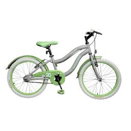 BACCIO Bicicleta MYSTIC rodado 20 Grey/Green