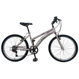 BACCIO Bicicleta ALPINA Lady rodado 24 3247 Pink